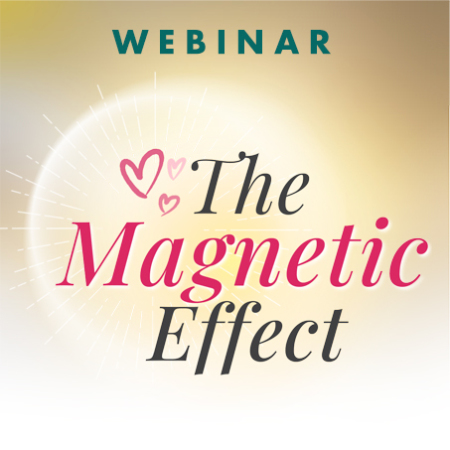 The Magnetic Effect product image